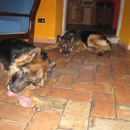 Melizio Bed & Breakfast San Maurizio D'opaglio