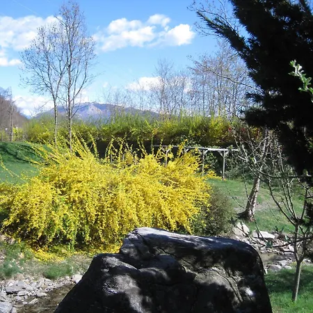 Melizio Bed & Breakfast San Maurizio D'opaglio