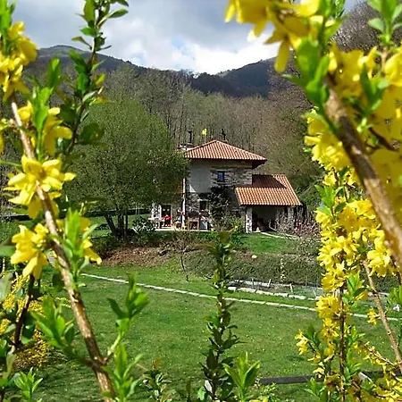 Melizio Couette-café San Maurizio D'opaglio