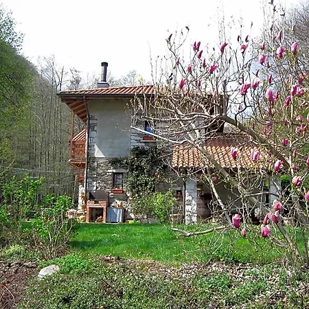 Melizio Couette-café San Maurizio D'opaglio